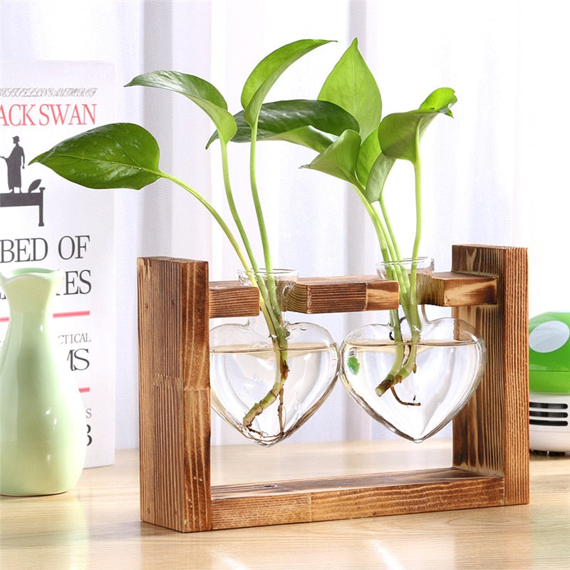 Glass and Wood Planter Vase