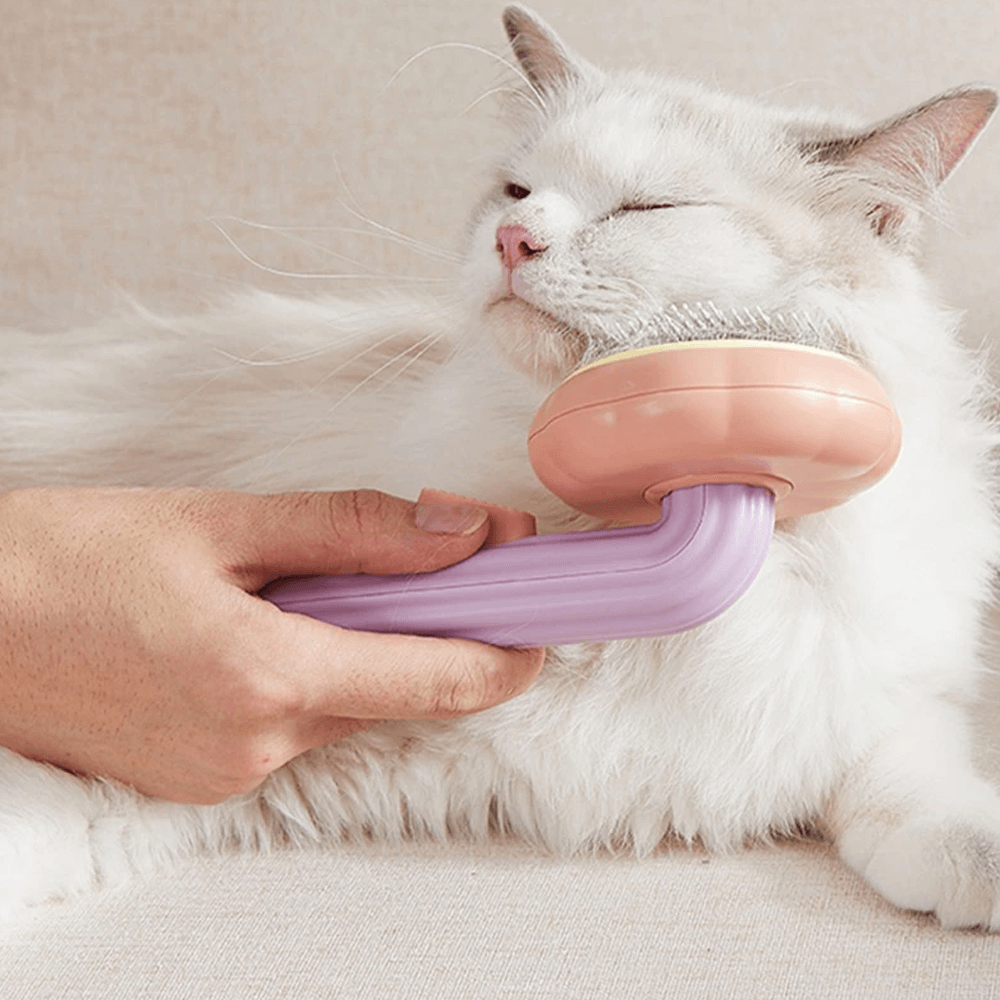 Pumpkin Pet Brush, Self Cleaning Slicker Brush