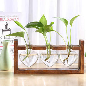 Glass and Wood Planter Vase