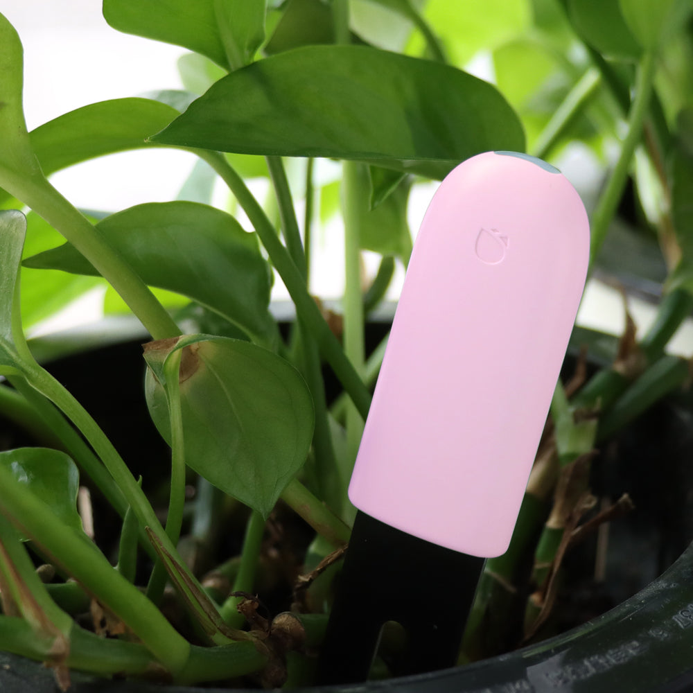 HHCC Flora Monitor Garden Care