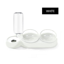 Double Bowls food Feeder