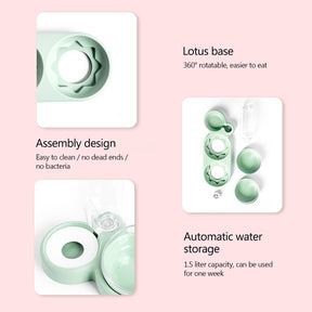 Double Bowls food Feeder